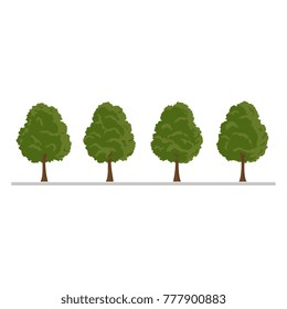 Set of city tree, decoration elements, flat style vector illustration isolated on white background. Collection of green tree, city landscape elements