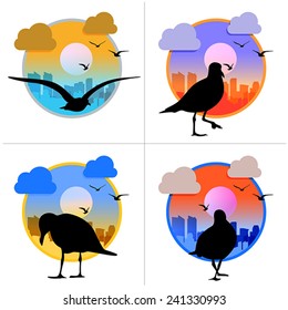 set of cityscape with seagull icon 