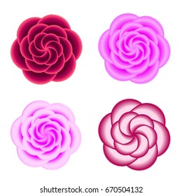 Set of classic rose peony camellia blossom vector illustration isolated on white background.