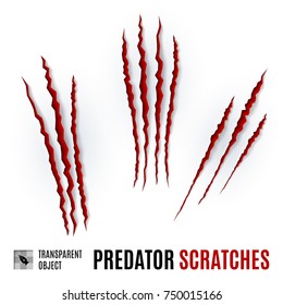 Set of Claw Scratches, Isolated on White Background