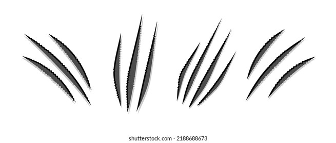 set of claws scratches mark vector illustration isolated on white background. concept of monster. beast marks or angry animal. signs of dangerous beast or scary monster attack