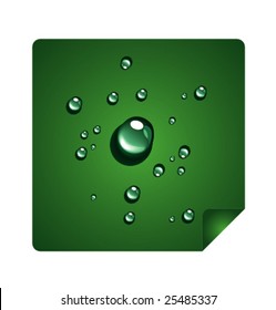 Set of clear water drops. Vector illustration