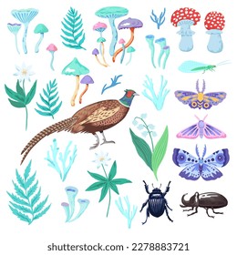 Conjunto de imágenes prediseñadas de plantas forestales, aves e insectos. Hongos mágicos y elementos de naturaleza vectorial para el diseño.