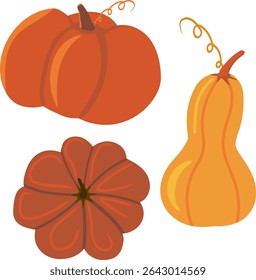 Conjunto de clip-arts de abóboras e cabaças de outono variadas em tons de laranja e marrom-avermelhado em um fundo branco. Ideal para projetos de Ação de Graças e colheita.