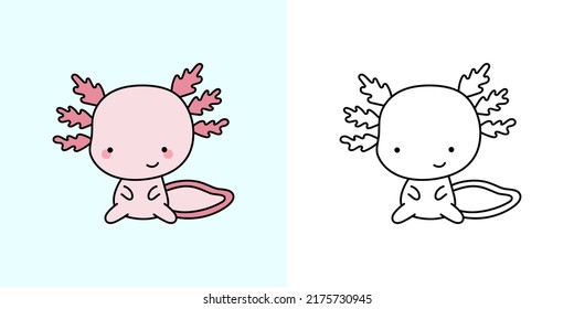Set Clipart Axolotl Coloring Page and Colored Illustration. Clip Art Kawaii Axolotl. Vector Illustration of a Kawaii Animal for Coloring Pages, Prints for Clothes, Stickers, Baby Shower.  svg