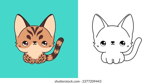 Set Clipart Bengal Cat Coloring Page and Colored Illustration. Kawaii Isolated Baby Kitten. Cartoon Vector Illustration of Kawaii Pet for Stickers, Prints for Clothes, Baby Shower. 