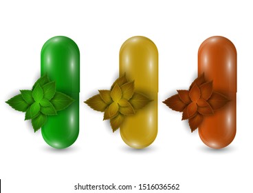 Set. Closeup of capsule pill icon and natural mint leaves. Medical isolated on a white background. Design template for graphics, layout. The concept of medicine and healthcare. Vector illustration