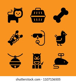 set, closeup, landscape and roasted icon set. Vector illustration for web and design.