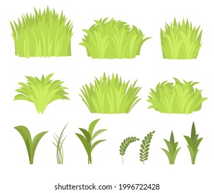 Establecer. Cerca de un prado con denso pasto. Plantas rurales verdes silvestres. Estilo de caricatura. Diseño plano. El césped sin cortar. Ilustración vectorial. arte