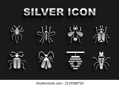 Set Clothes moth, Beetle bug, Termite, Hive for bees, Chafer beetle, Insect fly, Spider and Mosquito icon. Vector