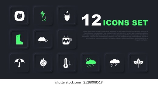 Set Cloud and lightning, Leaf, Hedgehog, with rain sun, Waterproof rubber boot, Kite and Thermometer icon. Vector