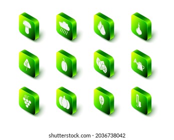 Set Cloud with rain, Water drop, Onion, Watering can, Meteorology thermometer, Leaf leaves,  and Pumpkin icon. Vector