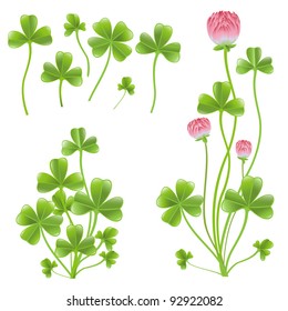 Set of clover leafs isolated on the white background.