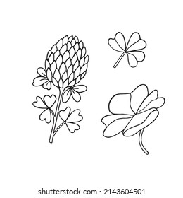 Set of clover with leaves. Black and white hand-drawn vector illustration for spring and summer design, postcards, jewelry, scrapbooking, posters, stickers, children's coloring books