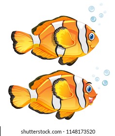 A set of clownfish on white background illustration