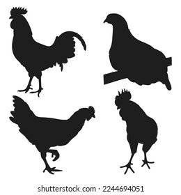Set cock, cockerel, rooster, chicken, hen, chick, position standing, poultry silhouettes hand drawn, isolated vector

