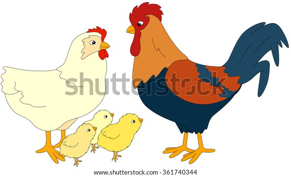 Set Cock Hen Chicks Vector Illustration Stock Vector (Royalty Free ...