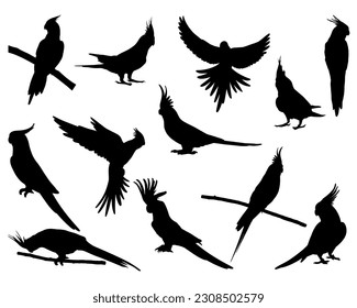 Cockatiel Parrots Silhouette Paket, Vogelsymbole