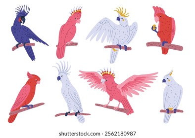 A set of cockatoo parrots. Vector illustration of colorful beautiful parrots with a crest and colorful feathers sitting on the branches of a tree.