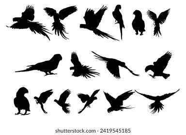 Set of cockatoo silhouette icon logo template vector illustration design