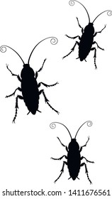 Set of Cockroach silhouette icon isolated on white background. Vector image. Illustration of insect symbol, beauty