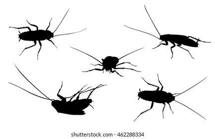 set of cockroach silhouettes isolated