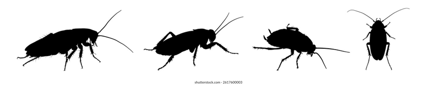 set of cockroach silhouettes – vector illustration