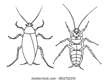 Set Cockroaches Pest Contour Vector Illustration Stock Vector (Royalty ...