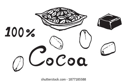 set of cocoa beans black and white graphics on a white background. cocoa lettering. icons for decoration and advertising. vector isolated. hand draw