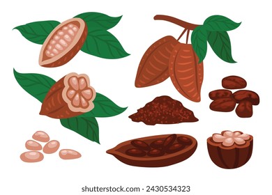 Conjunto de granos de cacao conjunto de iconos de frutas colección, mitad de granos de cacao, granos en polvo, cartón de granos de chocolate de árbol de cacao con hojas y ramas, semillas de cacao, ilustración vectorial plana.