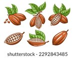 Set of cocoa beans isolated on white background. Logo template. Cacao bod. elements. Vector illustration