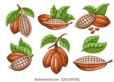 Set of cocoa beans isolated on white background. Logo template. Cacao bod. elements. Vector illustration