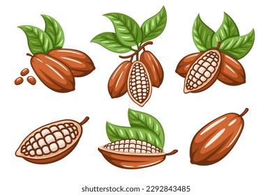 Conjunto de granos de cacao aislados en un fondo blanco. Plantilla de logotipo. Cacao Bod. de los elementos. Ilustración del vector