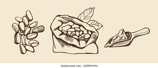 Conjunto de granos de cacao sobre fondo beige. Ilustración vectorial dibujada a mano.