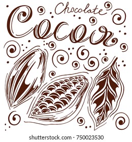 set of cocoa in loose hands with letting, cocoa and chocolate,bean,leaves, hand-drawn, white background, retro style, cocoa fruits