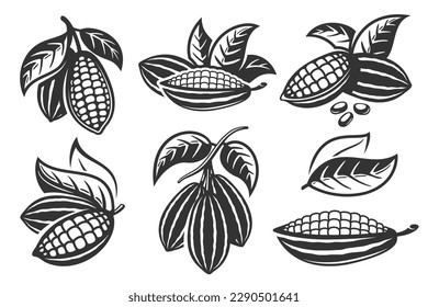 Set of cocoa pod isolated on white background. Logo template. Cacao beans. Vector illustration.