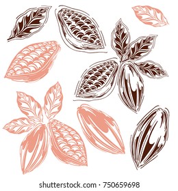 set of cocoa in styles free hands, bean, leaves, hand-drawn, white background, retro style, cocoa fruits
