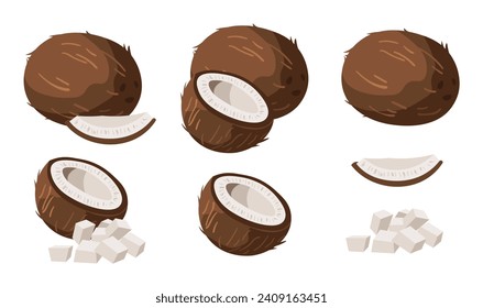 Set of coconut in cartoon style