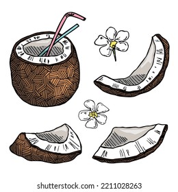 Conjunto de cocoteros. Icono de tuerca dibujada a mano. Ilustración tropical. Para impresión, web, diseño, decoración
