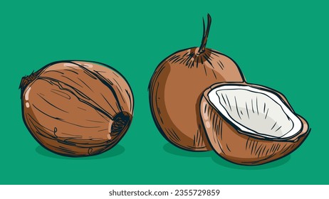 Conjunto de frutos de coco, Ilustración vectorial en un estilo de boceto de línea, boceto plano a mano, fruta colorida con sombra y luz, aislada en fondo de color.