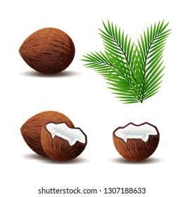 Set of coconut icon, broken coconut and leaf isolated on white background, vector illustration