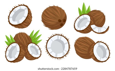 Set of coconut icons isolated on white background. Cartoon style. Vector illustration