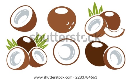Set of coconut icons isolated on white background. Cartoon style. Vector illustration