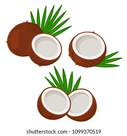 Set of coconut with leaves. Vector illustration