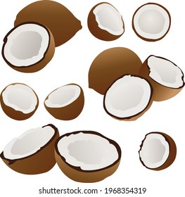 set coconut on white background