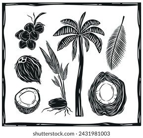 Conjunto de coco, palmera, hojas y plántulas en estilo tallado en madera. Fruta tropical de la comida, ilustración vintage