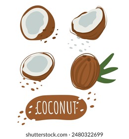 A set of coconut slices with the inscription coconut. Fresh, juicy and tasty fruit. Vector illustration of organic fruit. Eco-label for natural watermelon flavor. Juice, smoothie design.