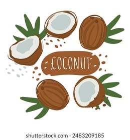 A set of coconut slices with the inscription coconut. Fresh, juicy and tasty fruit. Vector illustration of organic fruit. Eco-label for natural watermelon flavor. Juice, smoothie design.