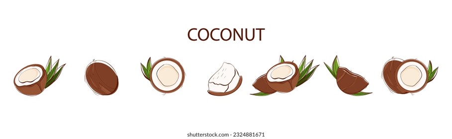 Set of coconut with text. Whole and half cracked broken coco nut with green palm leaves, isolated on white background.Card, banner, poster, sticker, print, advertising material. Vector illustration.
