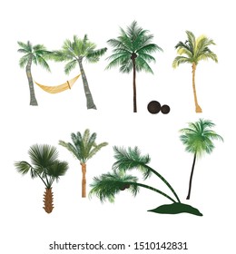 Set of a coconut tree or palm tree collection isolated on white background